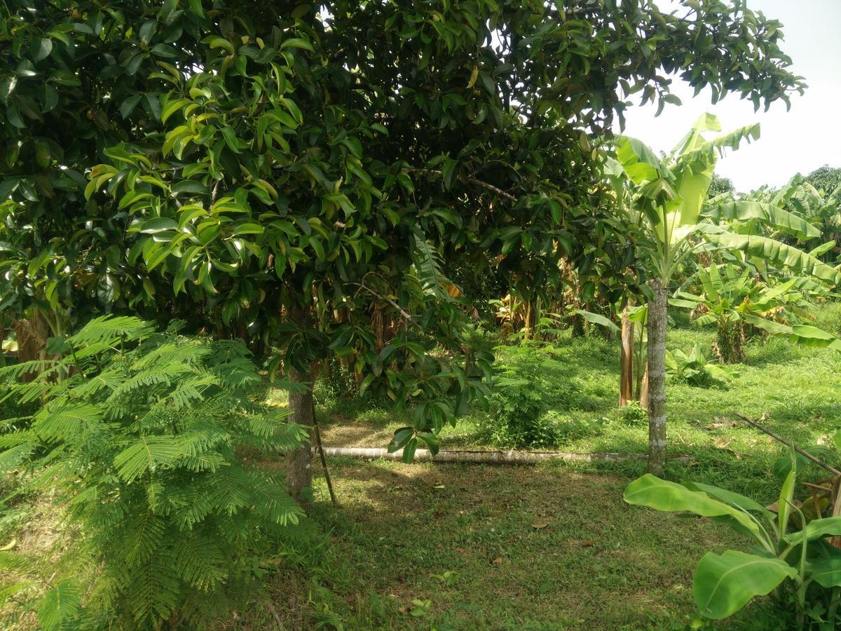 Deva Garden Resort Prachinburi Εξωτερικό φωτογραφία
