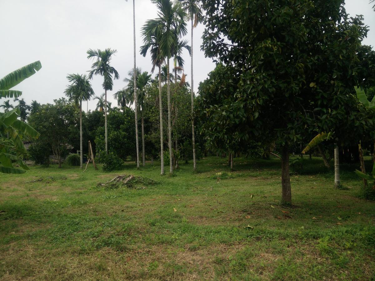 Deva Garden Resort Prachinburi Εξωτερικό φωτογραφία