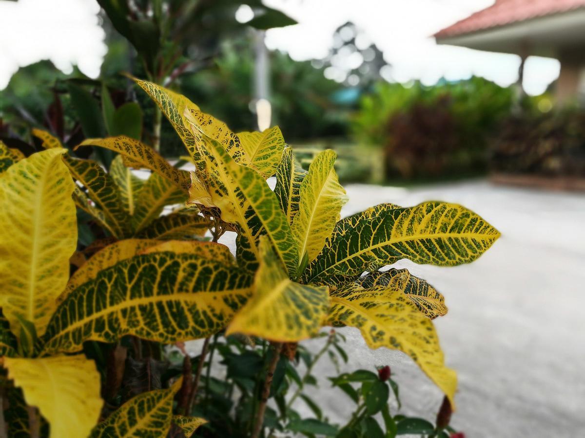 Deva Garden Resort Prachinburi Εξωτερικό φωτογραφία